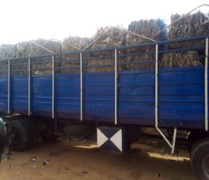 COMPRESSED BALE OF PET READY FOR SHIPMENT